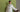 How to Look Amazing at Every Summer Event: Lawn Stitched Collection by Coco by Zara Shahjahan