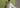 How to Look Amazing at Every Summer Event: Lawn Stitched Collection by Coco by Zara Shahjahan